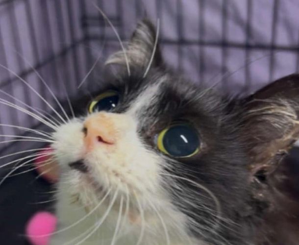 Cecelia looking as cute as possible. 