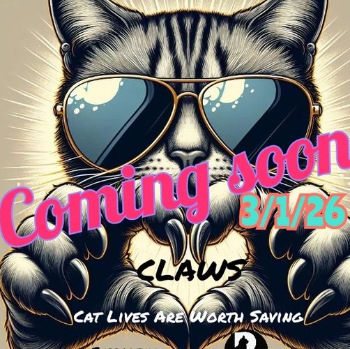 Riggi Rescue has a thrift store!