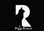 Riggi Rescue