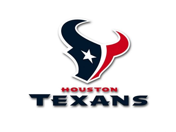 Houston Texans logo with bull head and text.