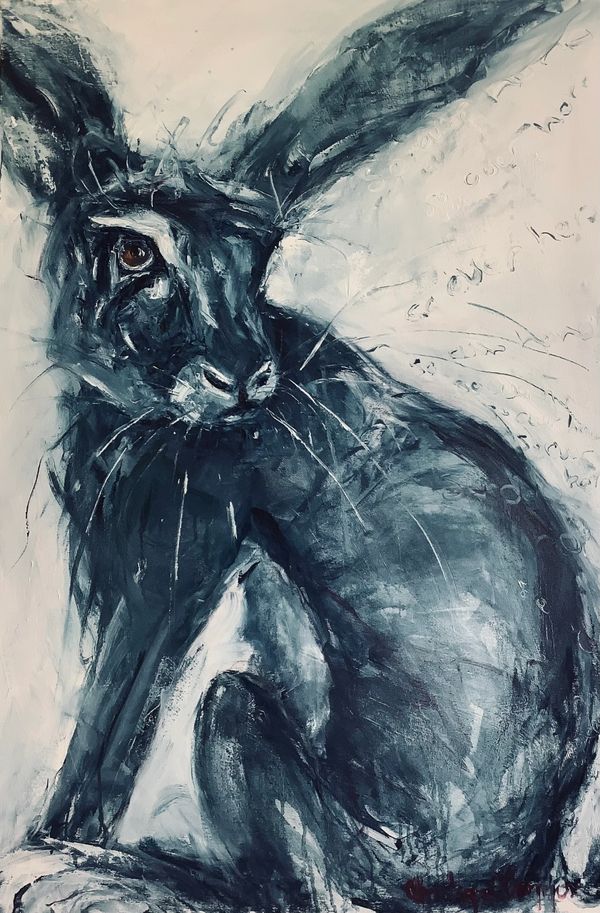 SoOver Hare
