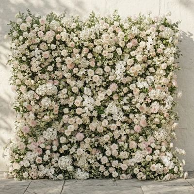 A lush floral wall with white and pale pink flowers densely packed.