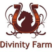 Divinity Farm  - Its all about the Relationship