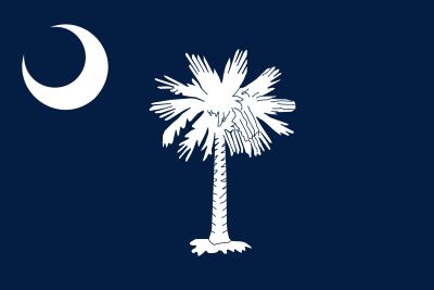 White palm tree and crescent moon on a dark blue background.