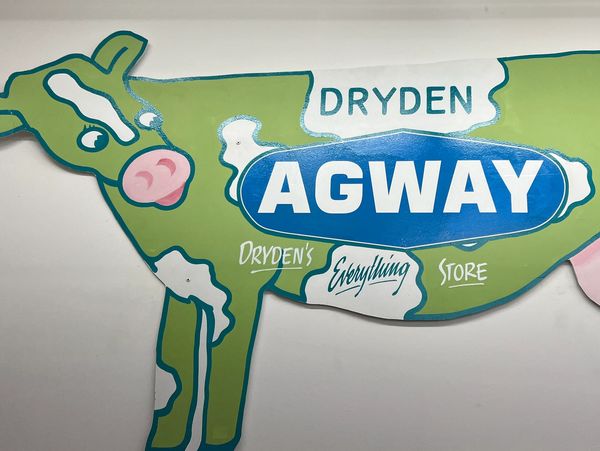 The Dryden Agway cow for Dairy Day. 
