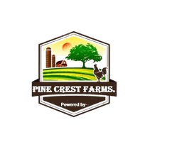 BREAMAR CHOCOLATE COMPANY CANADA