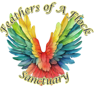 Colorful bird wings with sanctuary text.