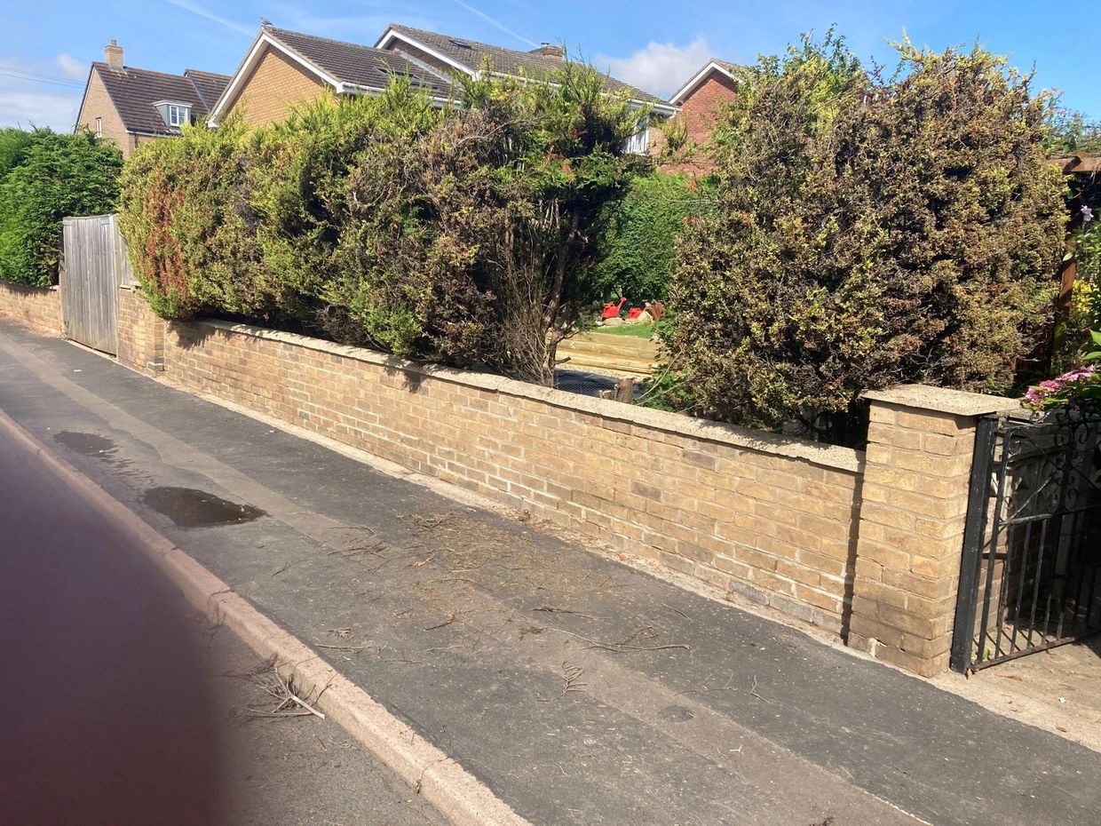 Hedge with a gap along a brick wall in a residential area.
