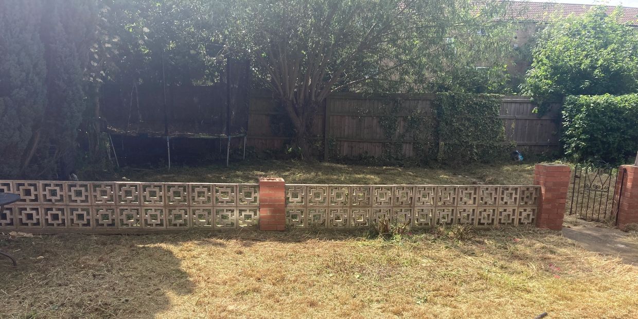 Sunny backyard with a low patterned brick wall and green trees.