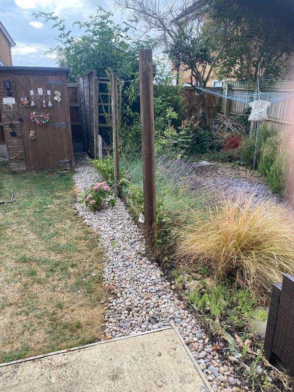 A backyard with a lawn, stone pathway, and a wooden shed.