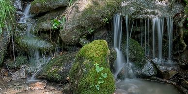 Waterfalls nearby at Waynestock