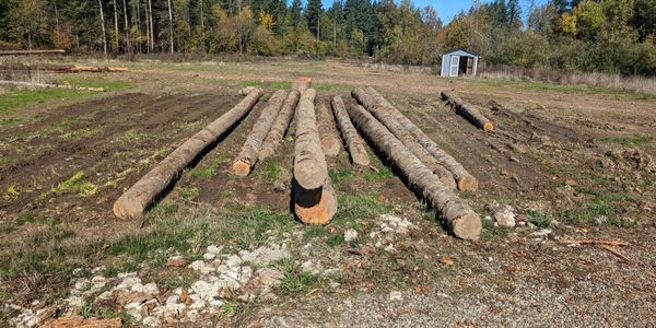 Logs in a pile