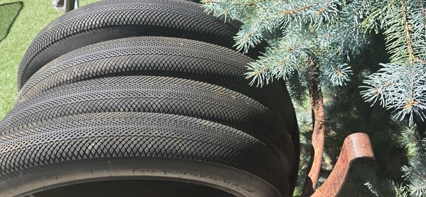 Stack of black tires outdoors near a tree.