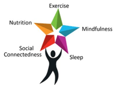 An integrative program modeling  nutrition, conscious living and mindfulness in schools  