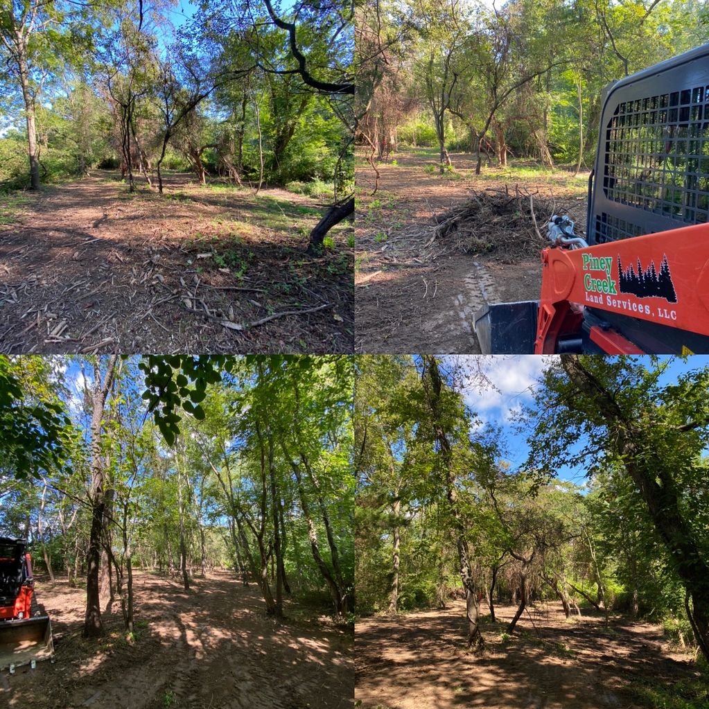 Underbrush Clearing