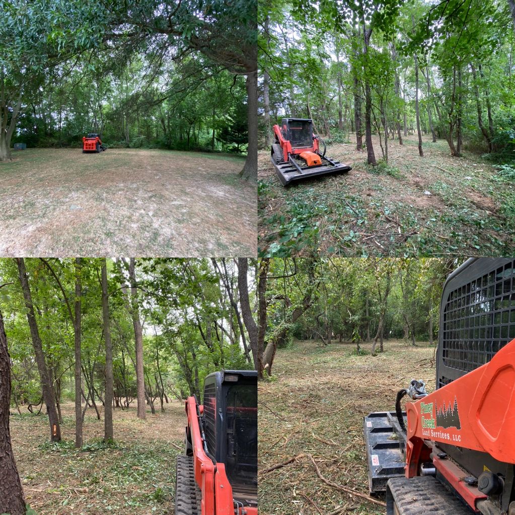 Underbrush Clearing