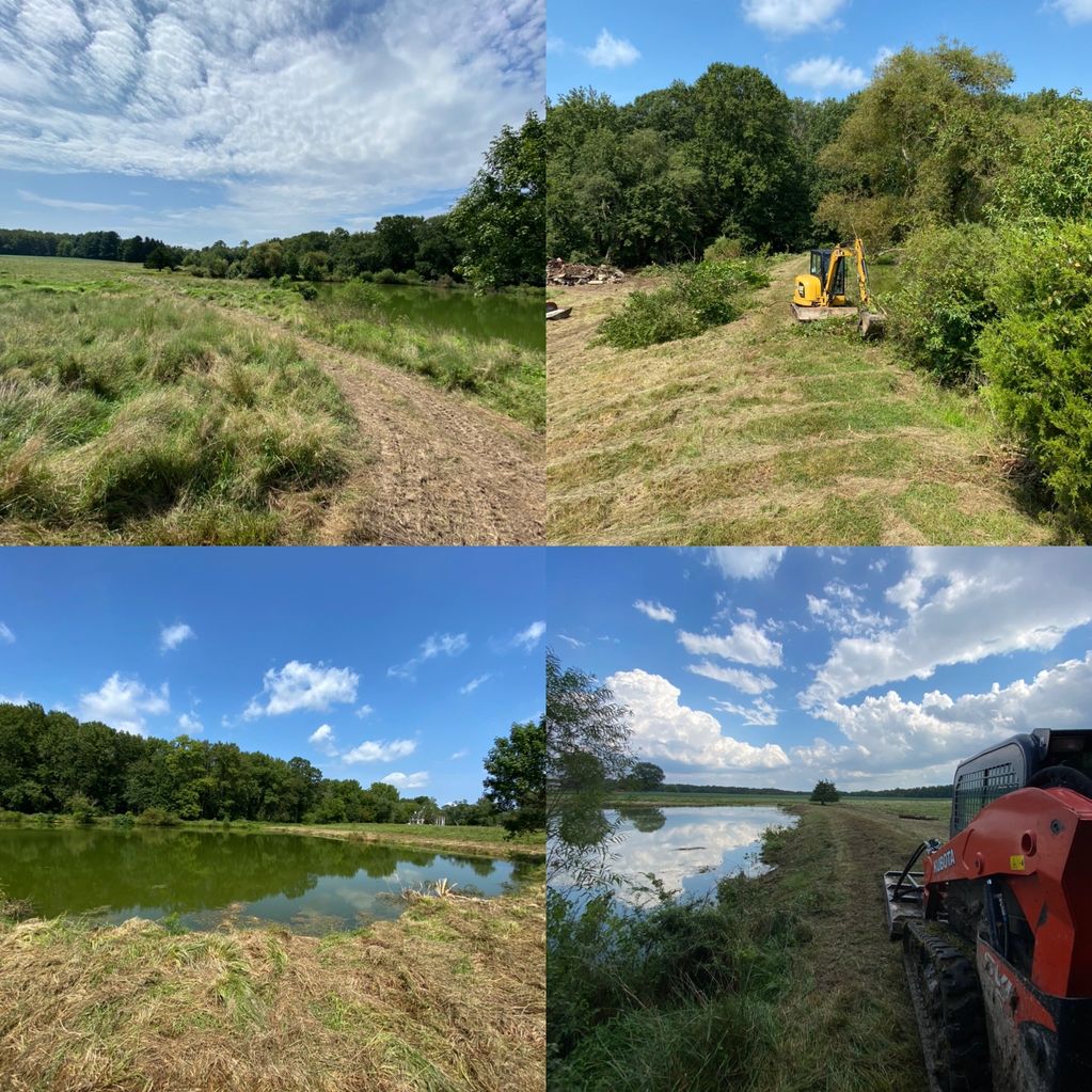 Pond Cleanup