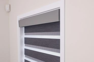 Shutter Force zebra blind in window