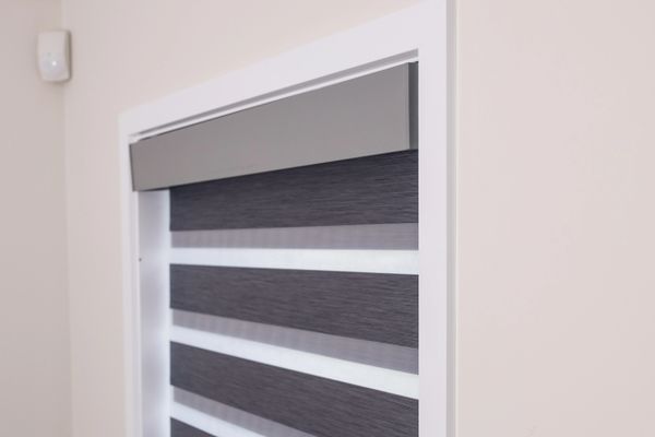 Shutter Force zebra blind in window