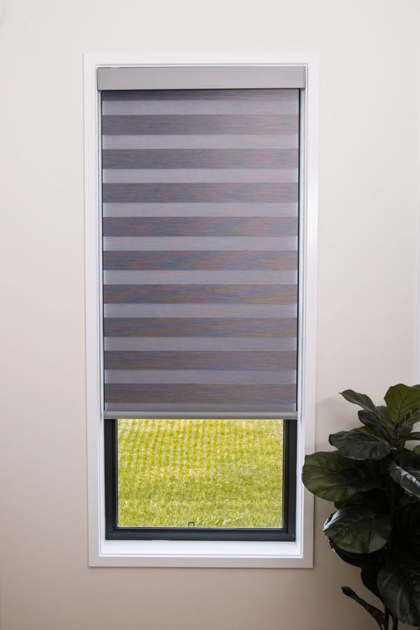 Shutter Force electric zebra blind in window