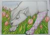 image21