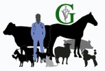 Green Mobile Veterinary Services