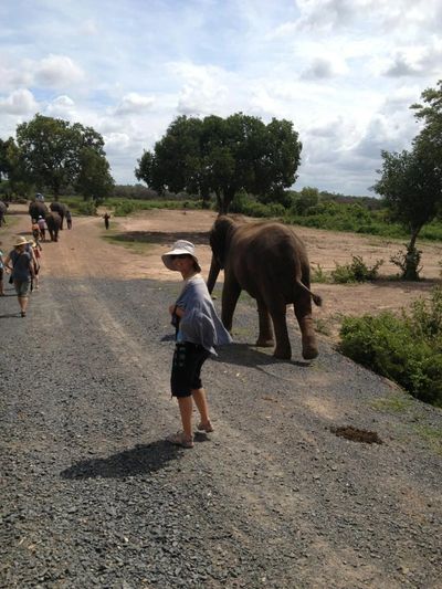 Walking the elephants to the lake to watch them bathe!  Awesome experience.