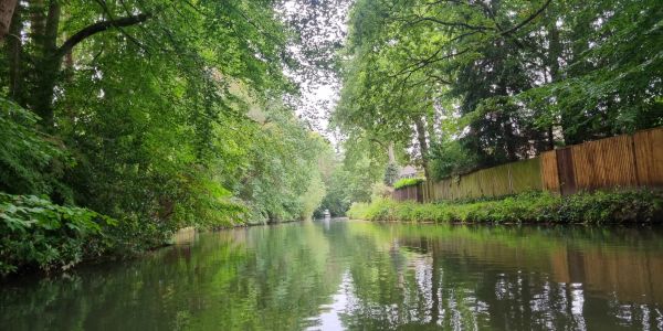 Calm river surrounded by green trees and a wooden fence.