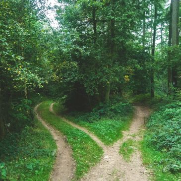 Multiple paths