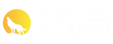 Crime Seen Collective
