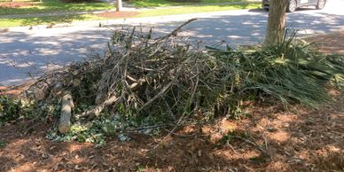 Lawn Debris