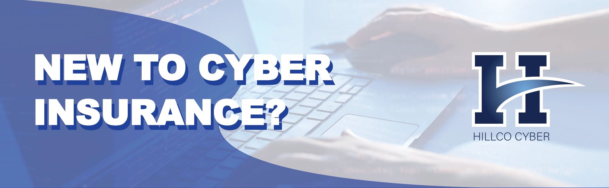 Cyber Insurance for a business.