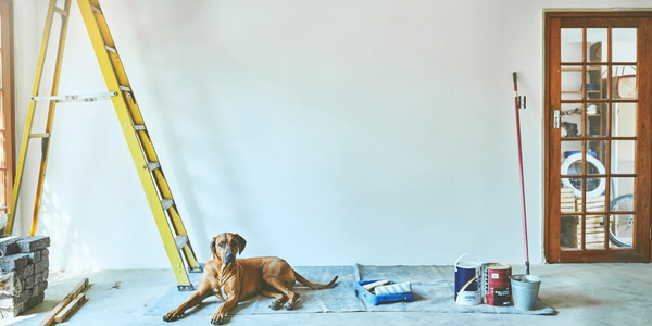 Click to read more about Property Preparation