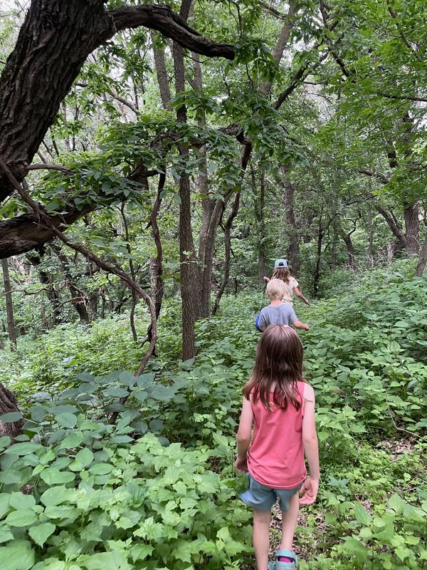 Children hiking through dense forest.