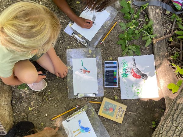 Children sketching birds outdoors with art supplies.