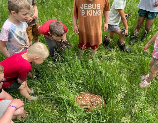 Kids gathered around a fawn in tall grass.