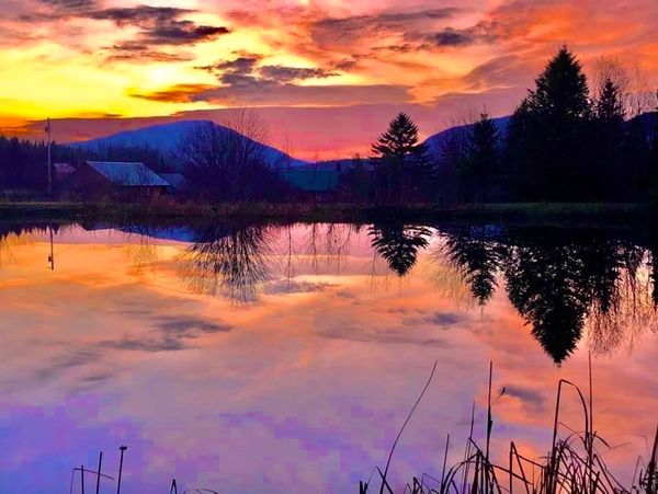 View of our own spring fed pond from the cozy cabin