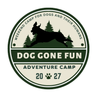 Dog Gone Fun Adventure Camp