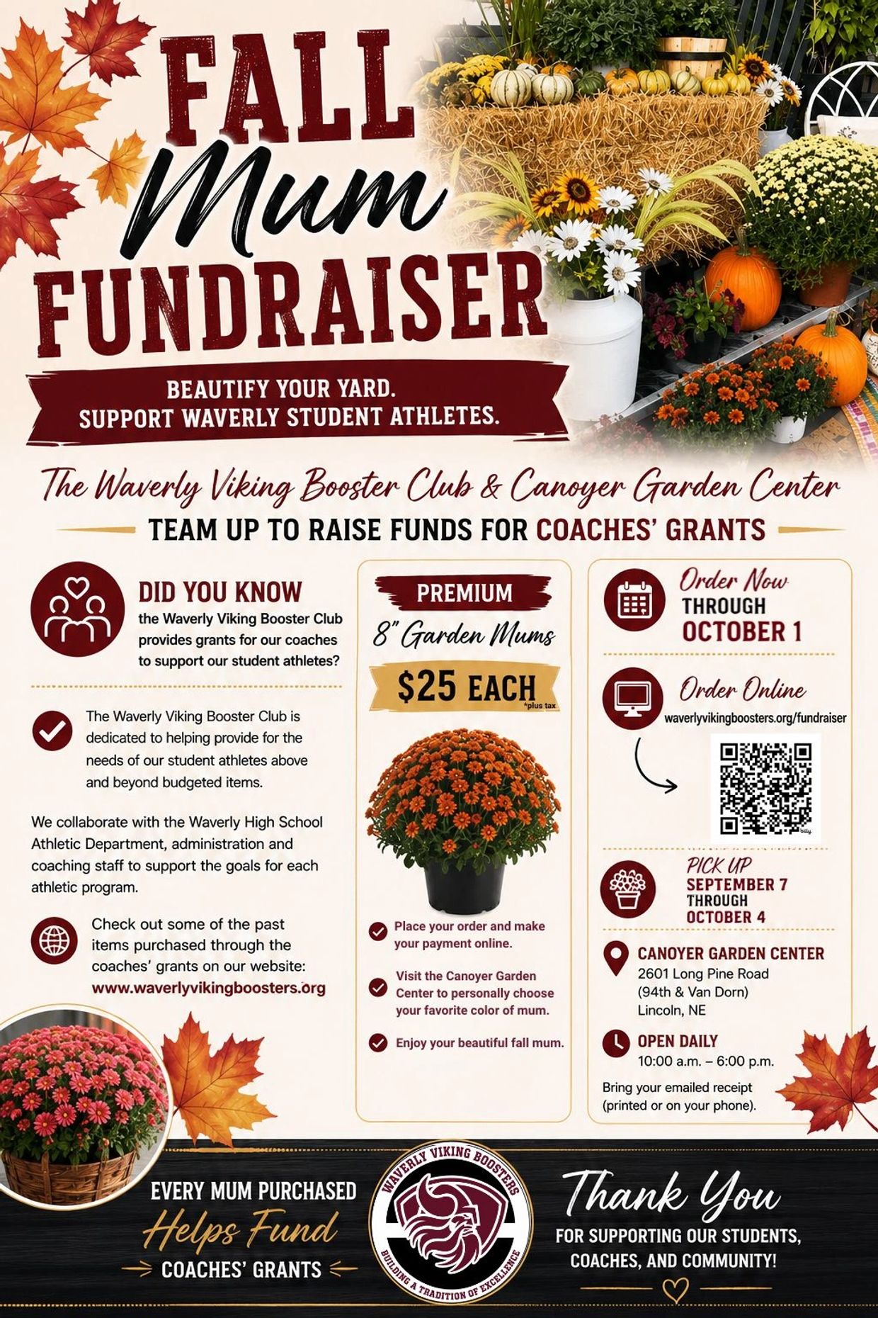 Fall Mum Fundraiser benefiting Waverly student athletes with $25 garden mums.