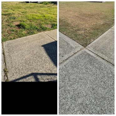 Side-by-side images of lawns and sidewalks showing different grass conditions.