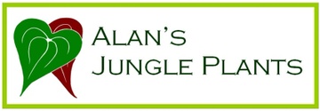 Alan's Jungle Plants