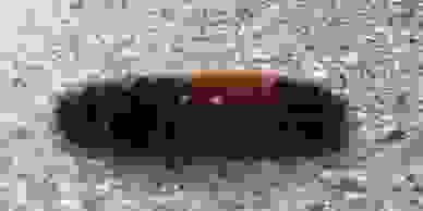 image186