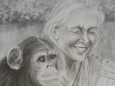 Pencil drawing of Dame Jane Goodall and chimpanzee