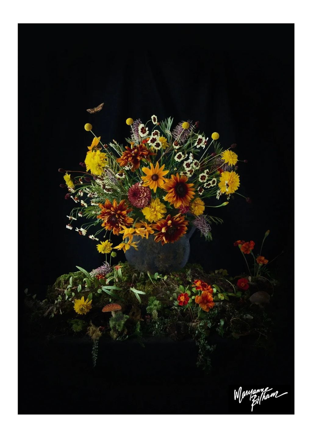 A vibrant bouquet of wildflowers in a dark vase against a black background.