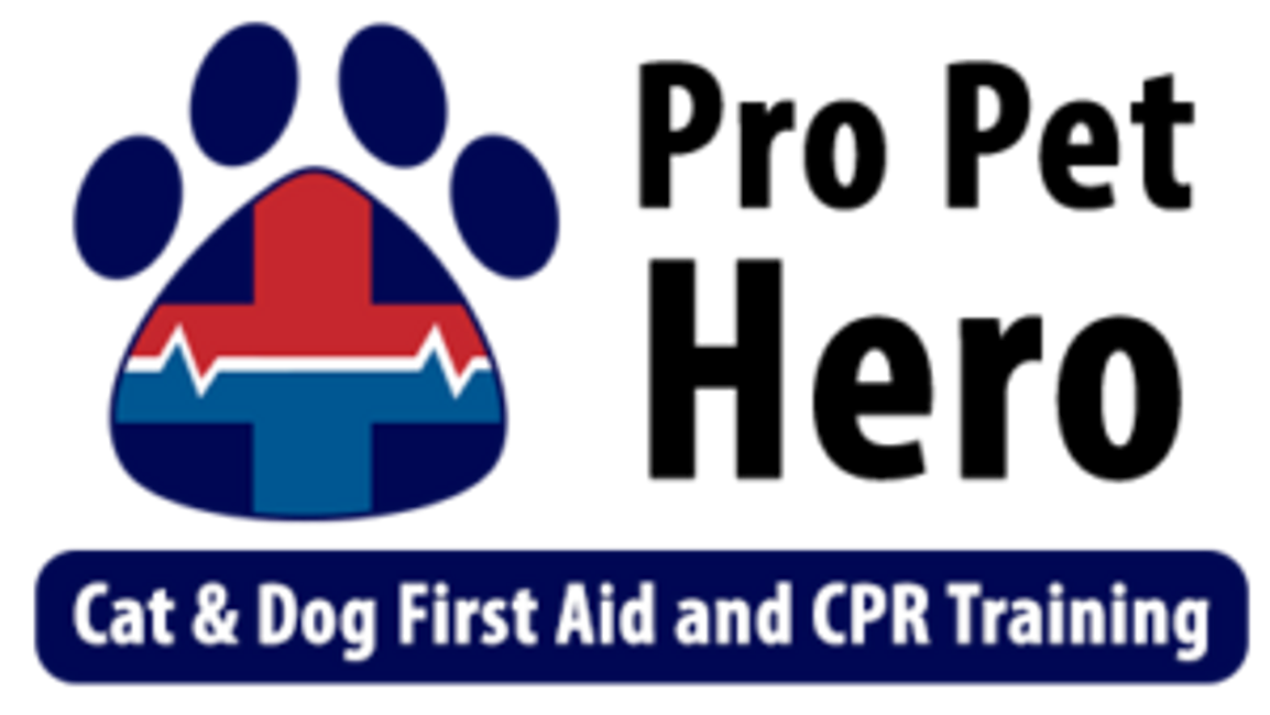 Pet Pro Hero cat and dog first aid and CPR training 