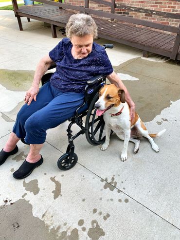 Animal Therapy - Pat and Sweed  Two of my favorites 
