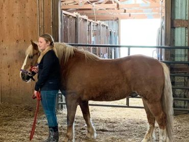 Animal Therapy - We are meeting Cody at the Rescue