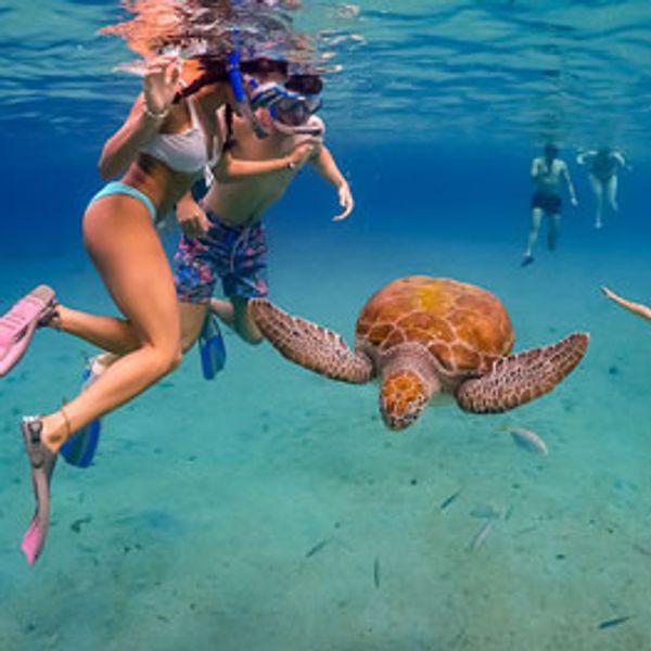 A couple snorkeling Rose Island Bahamas 