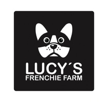 French Bulldogs