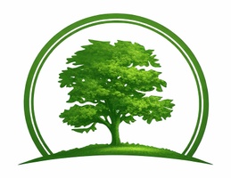 Mulberry Property Group